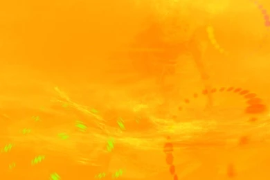 Download This The Sweet Mustang Yellow Lovely Colour Wallpapers ...