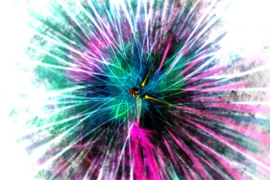 Dyad PSN July 17, 2012