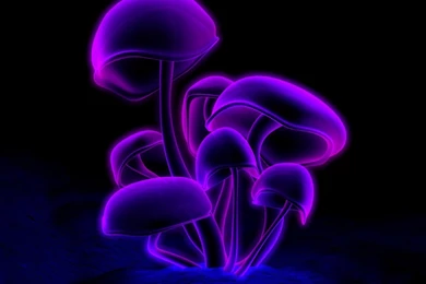 Trippy Mushroom Backgrounds   Wallpapers Zone