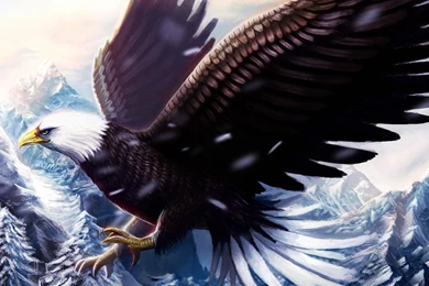 Bald Eagle Wallpapers   Android Apps On Google Play