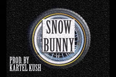 Snow Bunny (Prod. By Kartel Kush) Texas X Pimp C X UGK Type Beat ...