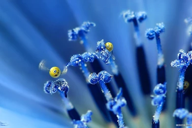 Free Wallpapers Free Art Wallpapers 3D Desktop Wallpapers 2 ...