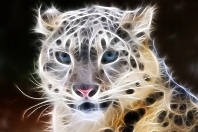 Tiger 3D Free PC Wallpapers Downloads 6597   Amazing Wallpaperz