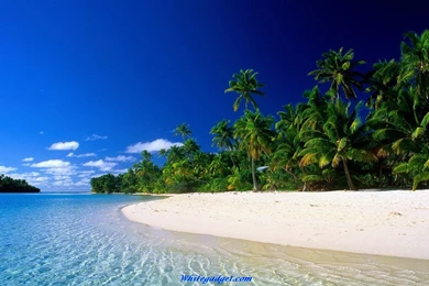 Amazing Picture HD For PC Wallpapers Free 2016