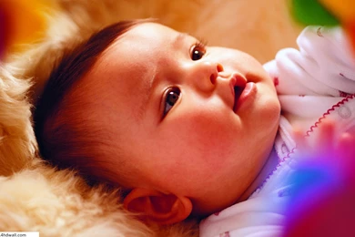 Cute And Beautiful Images   Wallpapers HD Fine