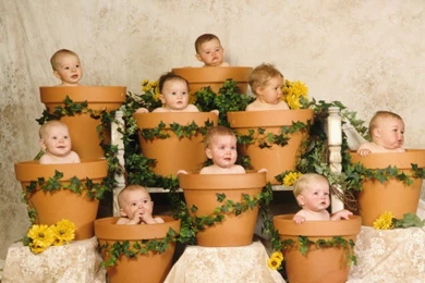 Beautiful Cute Baby Wallpapers