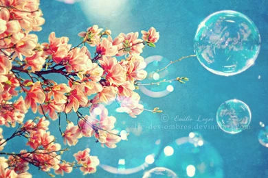 Spring Wallpapers Free Desktop