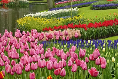 Spring Wallpapers HD Free Download