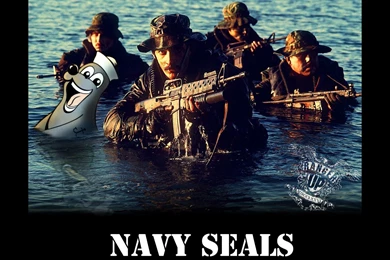 November « 2014 « Fedchenka.com