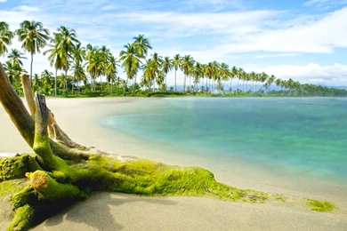 HDR Beach Backgrounds For Powerpoint – Powerpoint Designs