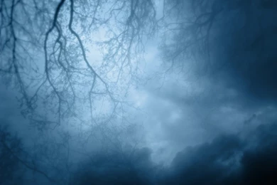 The Fog From Hell Backgrounds Photo By Astrid Clothingline ...