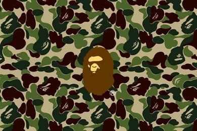 Ape Wallpapers   Wallpapers Cave