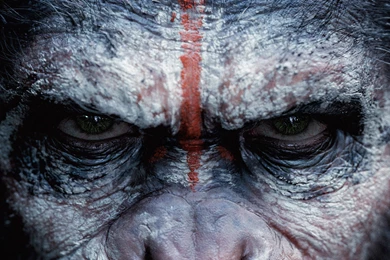 Dawn Of The Planet Of The Apes Wallpapers
