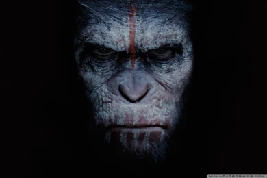 Dawn Of The Planet Of The Apes 2014 Movie HD Desktop Wallpapers ...