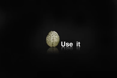 Funny Hair Baby Ape Wallpapers