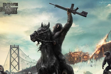 Dawn Of The Planet Of The Apes Movie Wallpapers