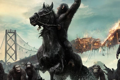 22 Dawn Of The Planet Of The Apes HD Wallpapers