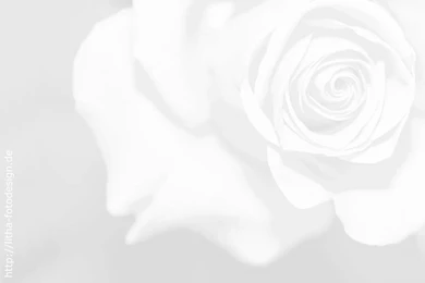 Index Of /ftpadmin/mftp/wall