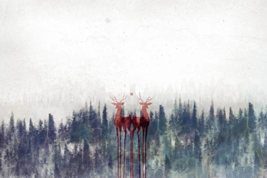 17 Hipster Wallpapers