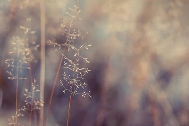 Hipster Wallpapers HD   HD Wallpapers