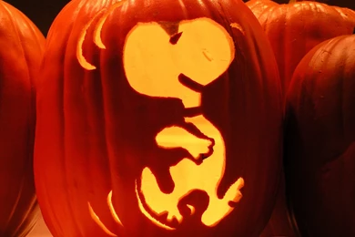 VN Studio   Free HD Wallpapers   Part 58