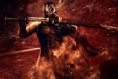 Ninja Gaiden Wallpapers