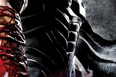 Ninja Gaiden 3 iPhone Wallpapers