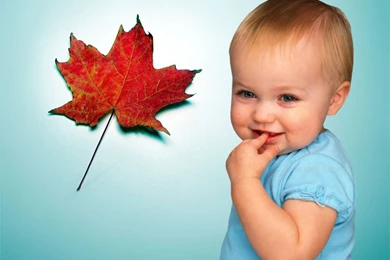 Latest Innocent Baby Wallpapers 2012:Best Wallpapers HD ...