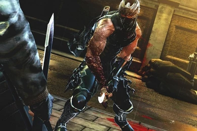 Ninja Gaiden 3 1400x1050 Wallpapers, 1400x1050 Wallpapers ...