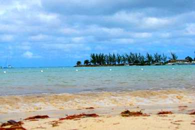 Wallpapers Divine Mercy Picture Of Jamaica Beach Tx 1024x768 ...