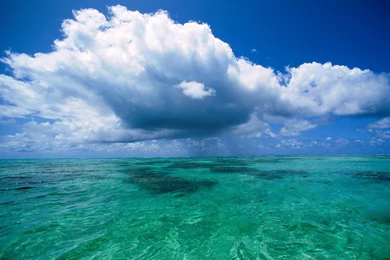 All About Beach: Paradise, Island Of Tahaa,