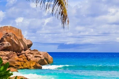 Paradise Island Live Wallpapers   Android Apps On Google Play