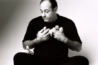 James Gandolfini HD Desktop Wallpapers