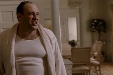 James Gandolfini, Aka Tony Soprano, Dies On Vacation In Italy ...
