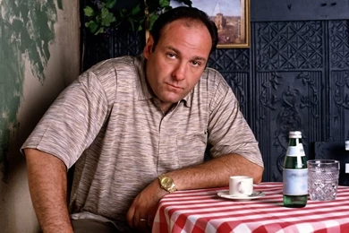 Tony Soprano Pictures, Images & Photos