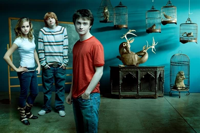 Emma Watson With Harry Potter Movie Crew HD Wide Wallpapers ...