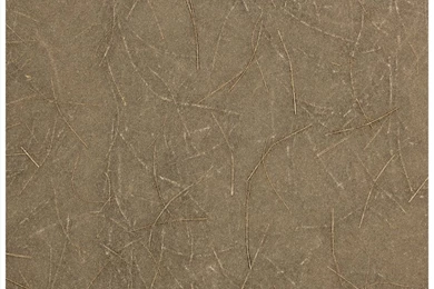 Sensation Natural Fiber Non woven Wallpaper/Wall Covering ...