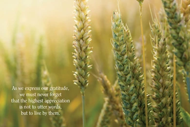 11.1.13} November Desktop Backgrounds