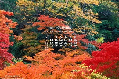 november calendar background