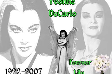 Forever Lily   The Munsters Wallpapers (8031270)   Fanpop