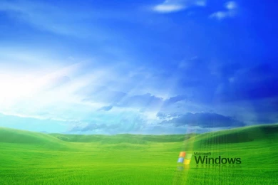 Grass Windows XP Wallpapers   Totalinfo90