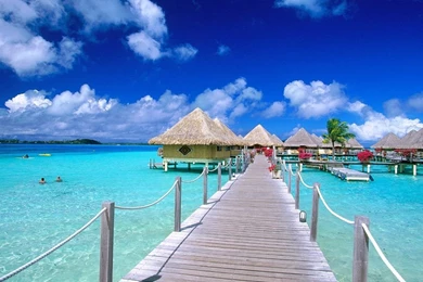 Free Tropical Desktop Backgrounds   Wallpapers Cave