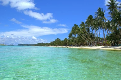 Tropical Computer Backgrounds   Wallpapers Cave