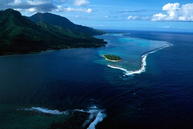 Tropical Computer Wallpapers, Desktop Backgrounds