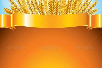 Wheat On Golden Ribbon Vector Backgrounds