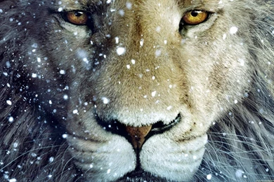 The Chronicles Of Narnia: The Voyage Of The Dawn Treader Wallpapers ...