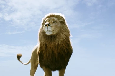 Narnia Wallpapers   Wallpapers Cave