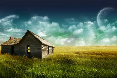 Wallpapers Nature Gallery Dizorb Shack Content Uploads Field ...