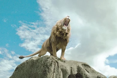 The Chronicles Of Narnia: The Lion, The Witch And The Wardrobe ...