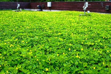 Wallpapers Gallery   Multimedia   HKU